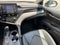 2023 Toyota Camry SE (Natl)