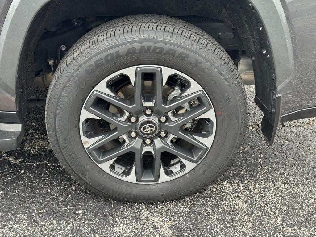 2025 Toyota Sequoia Limited